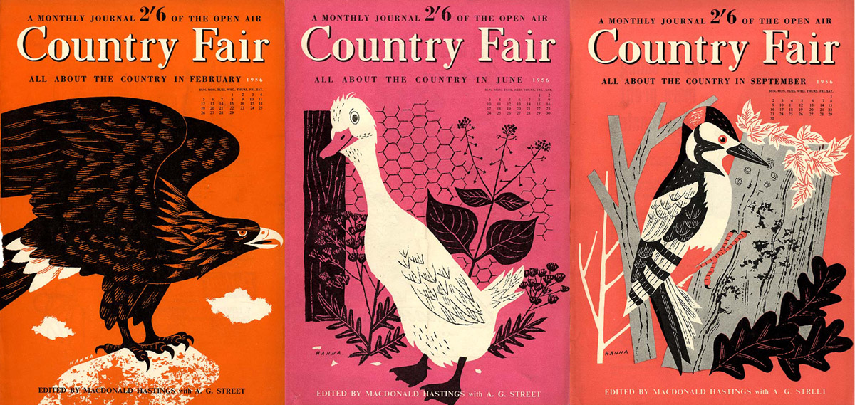 Country Fair